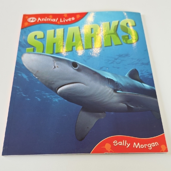 Children's Shark and Pirate Book Set Bundle - Picture 15 of 16